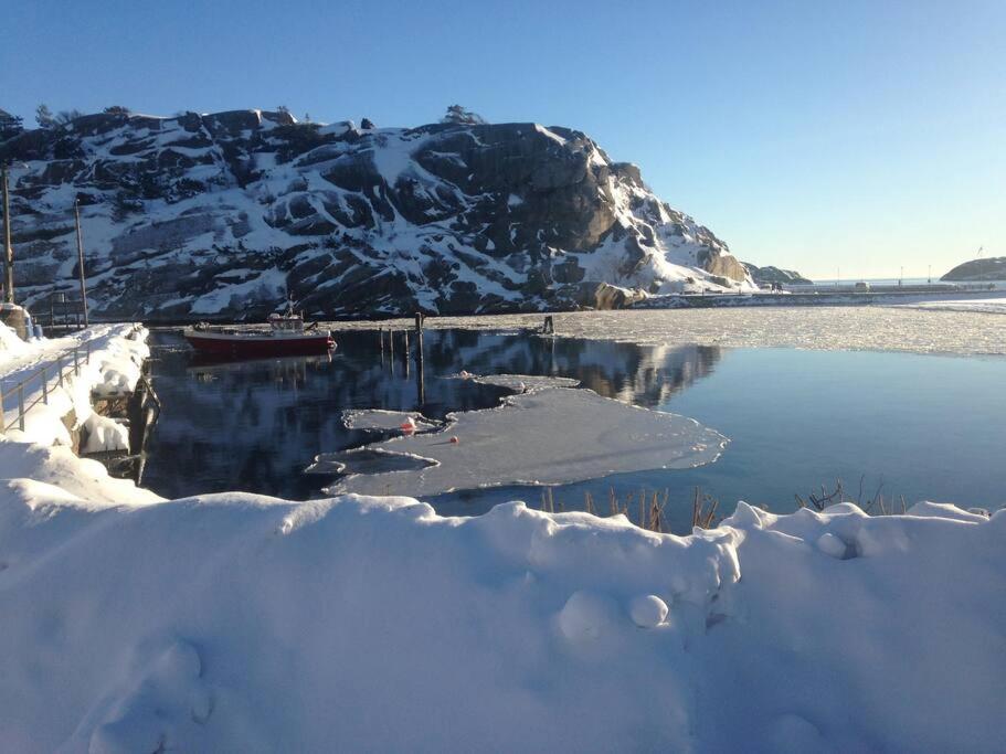 Tjodalyng - Ved Viksfjord - Sokkelleilighet Larvik Ngoại thất bức ảnh