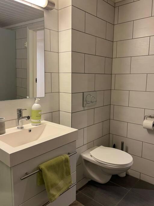 Tjodalyng - Ved Viksfjord - Sokkelleilighet Larvik Ngoại thất bức ảnh